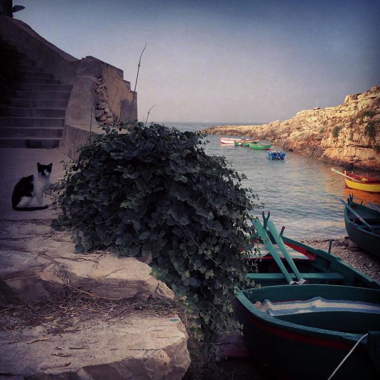 La Casetta Di Chiara B&B Polignano a Mare Kültér fotó
